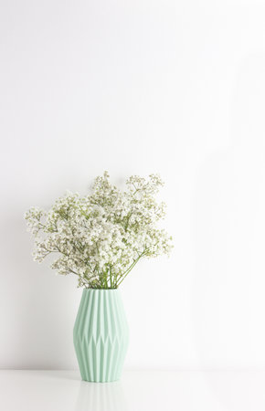 White gypsophila babys-breath flower in light green ceramic vase on white wallの写真素材
