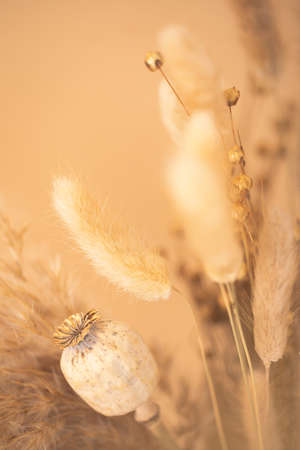 Bouquet of beautiful beige dried flowers. Selective focus, blurred background. Minimal home decoration concept.の写真素材
