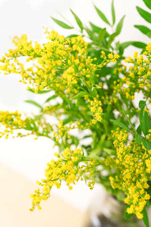 Bouquet of fresh yellow flowers in dark gray vase on white. Selective focus. Spring background.の写真素材