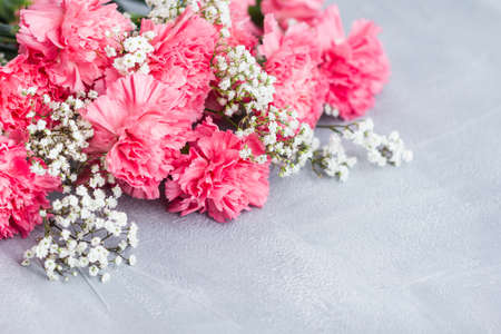Pink carnation flowers bouquet on gray background.の写真素材