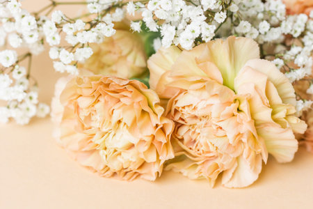 Beige carnation flowers bouquet on light beige background.の写真素材