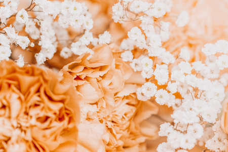 Beige carnation flowers bouquet on light beige background.の写真素材