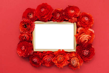 Red buttercup flowers around golden color photo frame on red background. Mockup for your design. Flat lay, top view.の写真素材