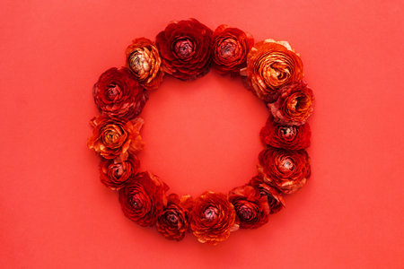 Round floral composition of red buttercup flowers on red background. Flat lay, top view. Copy space.