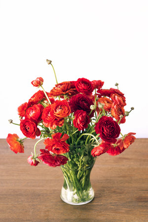 Red persian buttercups in a glass vase on wooden table. Ranunculus asiaticus.の写真素材