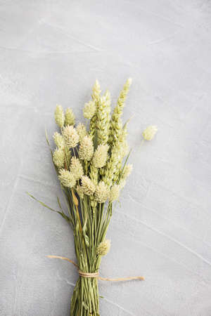 Minimalistic bouquet of beautiful green dried flowers.の写真素材