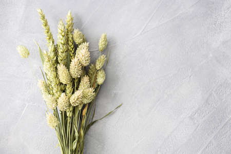 Minimalistic bouquet of beautiful green dried flowers.の写真素材