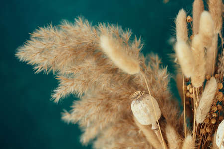 Bouquet of beige dried flowers on green-blue background.の写真素材