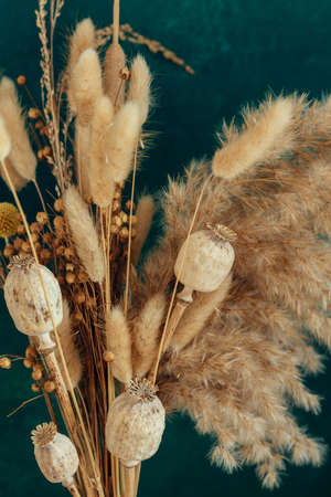 Bouquet of beige dried flowers on green-blue background.の写真素材