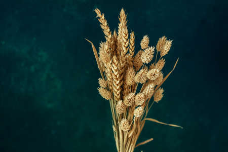 Minimalistic bouquet of beautiful dried flowers on dark background.の写真素材