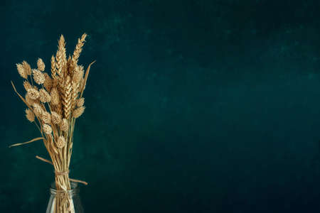 Minimalistic bouquet of beautiful dried flowers on dark background.の写真素材