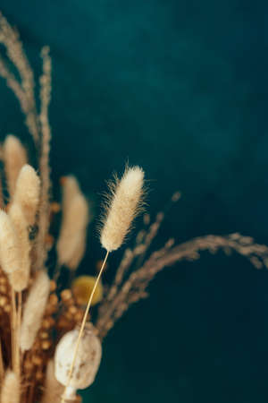 Bouquet of beige dried flowers on green-blue background.の写真素材