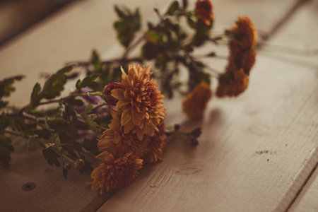 Wild fresh picked up flowers are ready for herbariumの写真素材