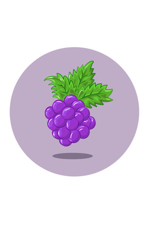 Grapes vector illustrationのイラスト素材