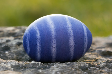 Nest of natural-colored Easter eggs in the gardenの写真素材