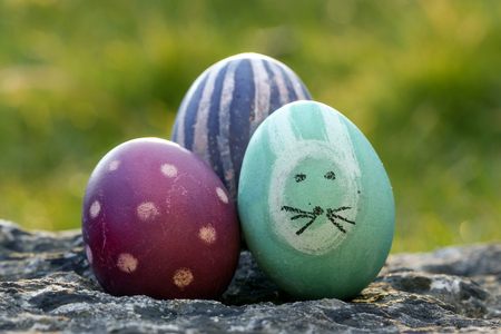 Easter egg hunting traditionの写真素材