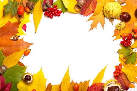autumn elements frame - acorn, chestnut, viburnum, rowan, briar and multicolored leavesの写真素材