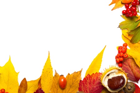 autumn elements border isolated on whiteの写真素材