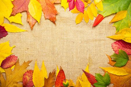 frame from multicolored autumn leaves on sackingの写真素材