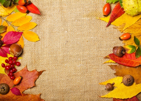 autumn elements borderの写真素材