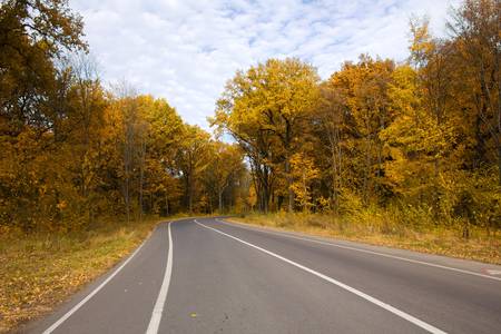 curving autumn road in forestの写真素材