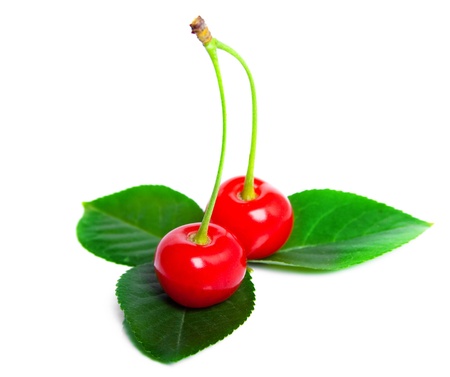 cherry on green leaves isolated on whiteの写真素材