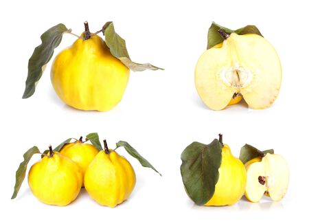 Arrangement of fresh bright yellow quincesの写真素材