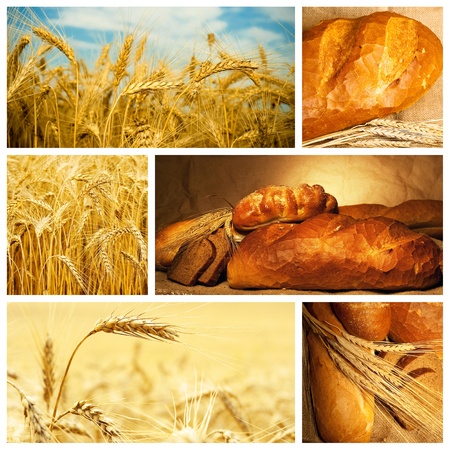 Beautiful bread and wheat collageの写真素材
