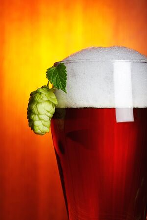 beer and hop closeupの写真素材