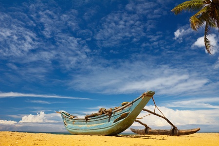 boat and coconut palm tree on tropical coastの写真素材
