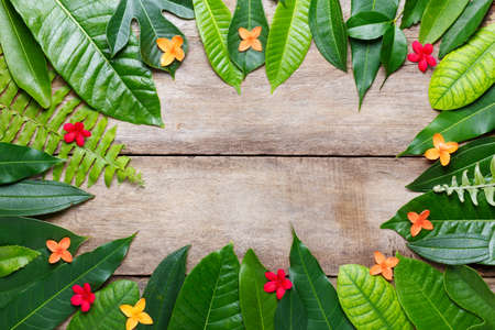 Summer leaves with flowers on wooden background with blank place for textの写真素材