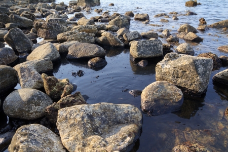 Oil spill on the sea shore, ecological disasterの写真素材