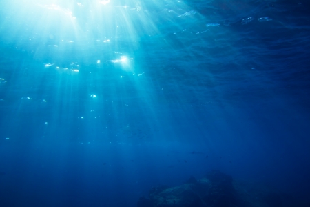 Underwater shot with sunrays and fishes in deep tropical sea の写真素材
