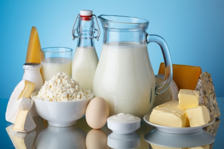 Dairy products, milk, cheese, egg, yogurt, sour cream, cottage cheese and butter on blue background still lifeの写真素材