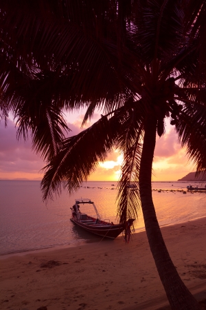 Small boat under the palm trees on tropical beach at sunsetの写真素材