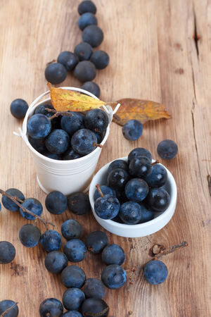 Blackthorn berry (sloe) in bowl and pail on wooden tableの写真素材