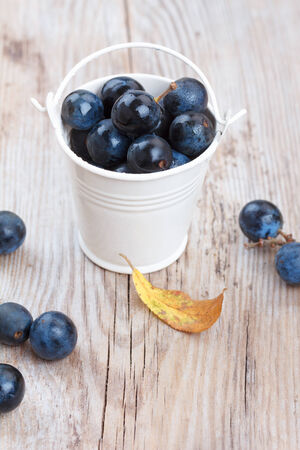 Blackthorn berry (sloe) in a bucket on wooden tableの写真素材
