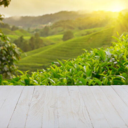 Empty wooden table with tea plantation on background, blank place for productの写真素材