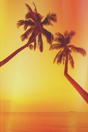 Retro stylized two palm trees on tropical beach at sunsetの写真素材