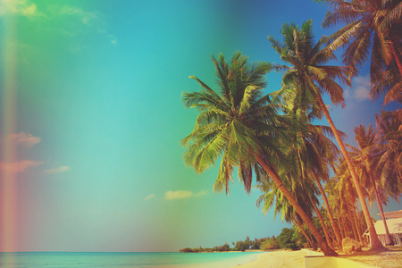 Vintage stylized tropical beach with palm treesの写真素材