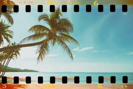 Tropical beach with coconut palm trees, vintage film stylizedの写真素材