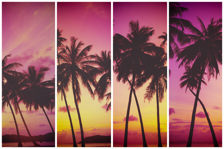 Tropical sunset over sea with palm trees, vintage stylized and tonedの写真素材
