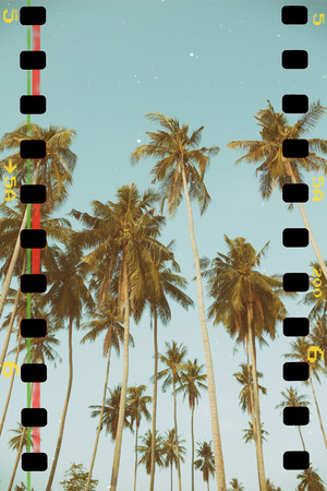 Palm trees at tropical coast, vintage toned and film stylizedの写真素材