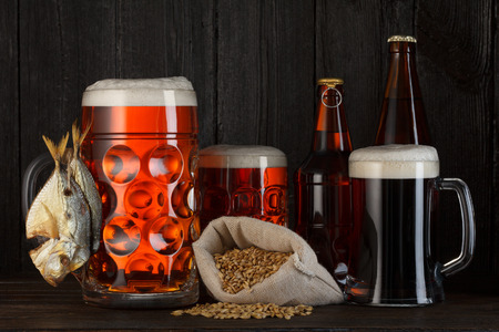 Beer mugs and bottles assortment with smoked salty fish, barley bag, dark wooden background with copy spaceの写真素材