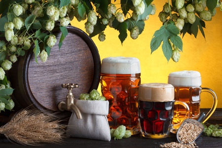Vintage beer barrel with two beer glasses and fresh hops, metal scoop with barley on wooden table still lifeの写真素材