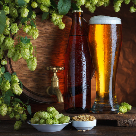 Bottled and unbottled beer with barrel, barley and fresh hops for brewing still-lifeの写真素材
