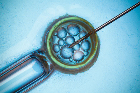 Laboratory microscopic research macro conceptの写真素材