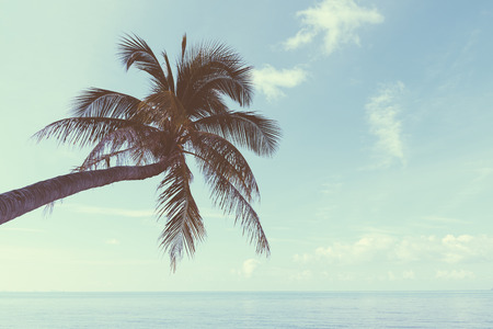 Vintage nostalgic stylized palm tree on tropical shore with blue sky and calm oceanの写真素材