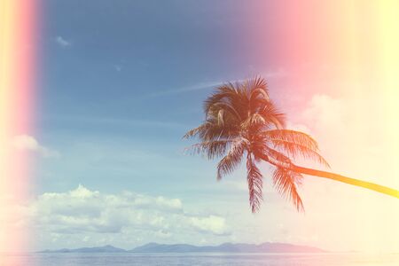 Palm tree on tropical shore, vintage stylized with film burn light leaksの写真素材