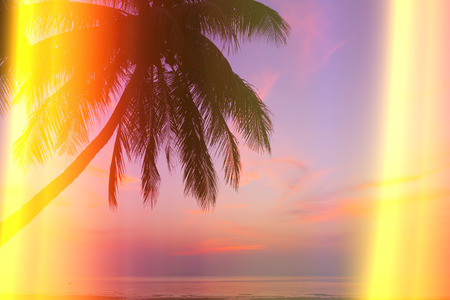 Tropical beach with palm tree at sunset, vintage stylized with light leaksの写真素材